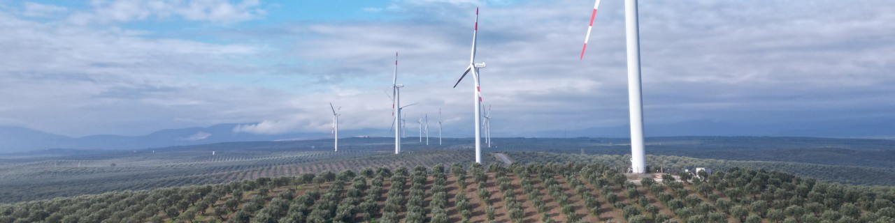 Blick auf Windräder eines Windparks